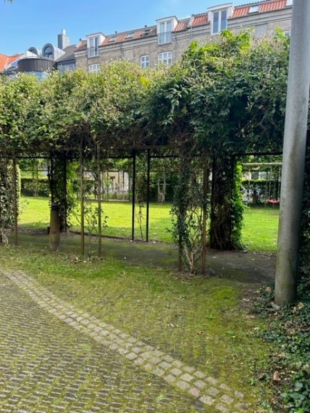 D.S.I. Viking Kollegiet