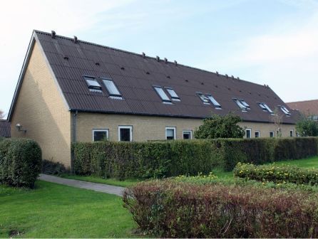 Løvstikkevej / Ananasvej