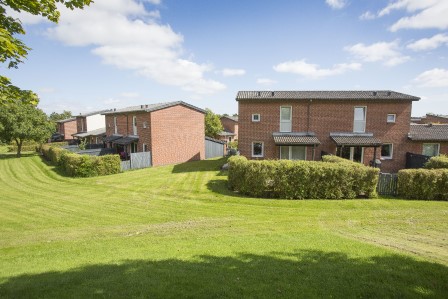 Runddyssen (Afd. 36)