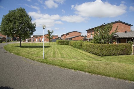 Runddyssen (Afd. 36)