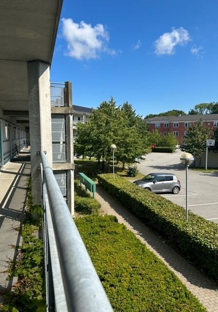 DSI Blegkilde Kollegiet