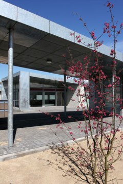 D.S. I. Langager Kollegiet