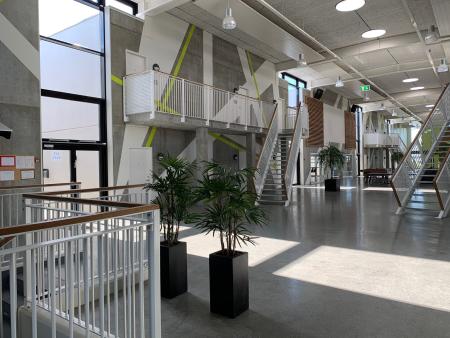 Universitets Kollegiet