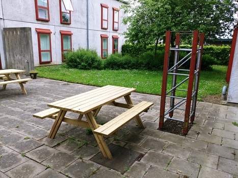 Danmarks Internationale Kollegium