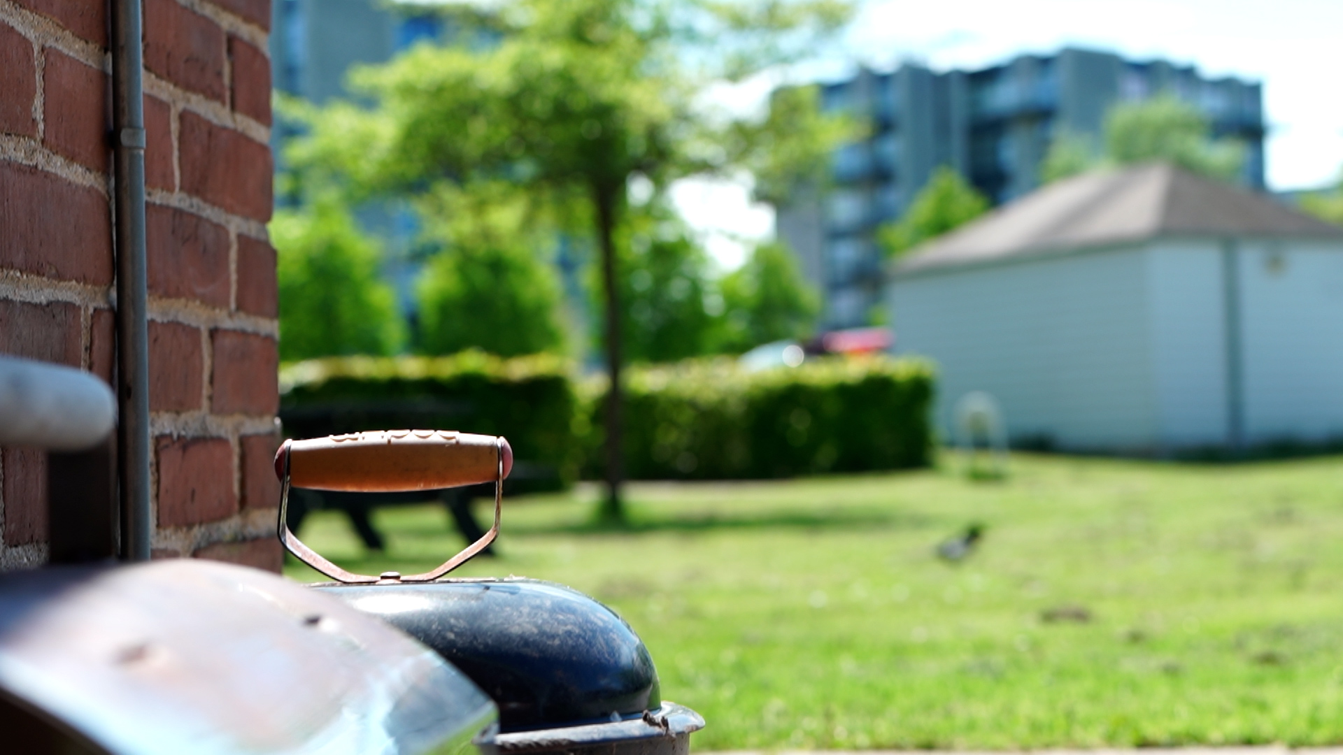 Universitetsparken (BOSJ)