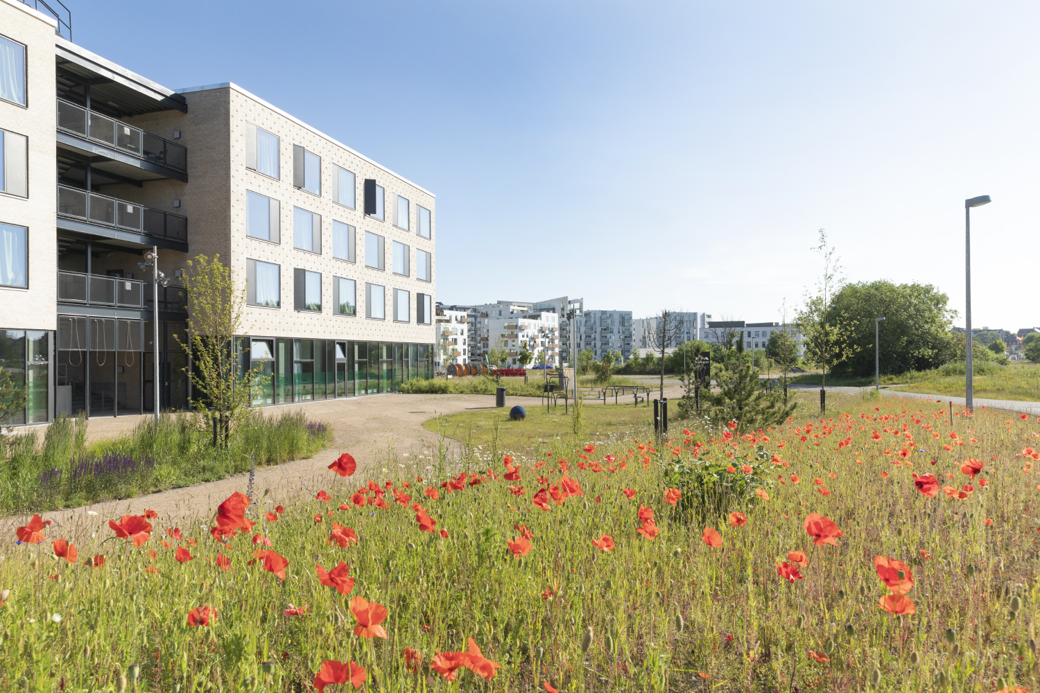 PFA Kollegiet – Odense