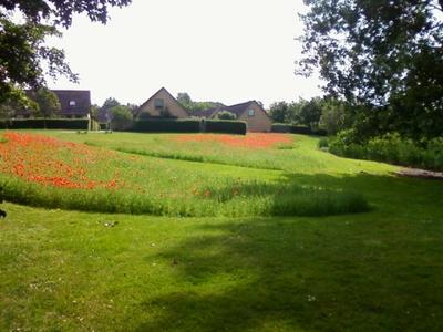Havslunde