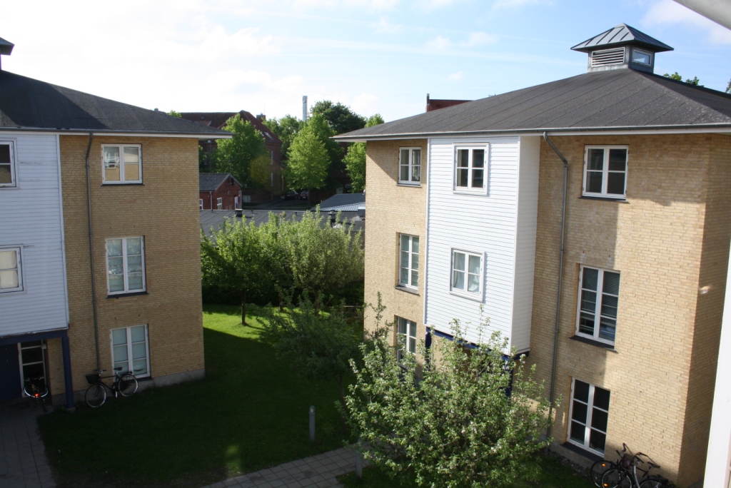 Duebrødre Kollegiet