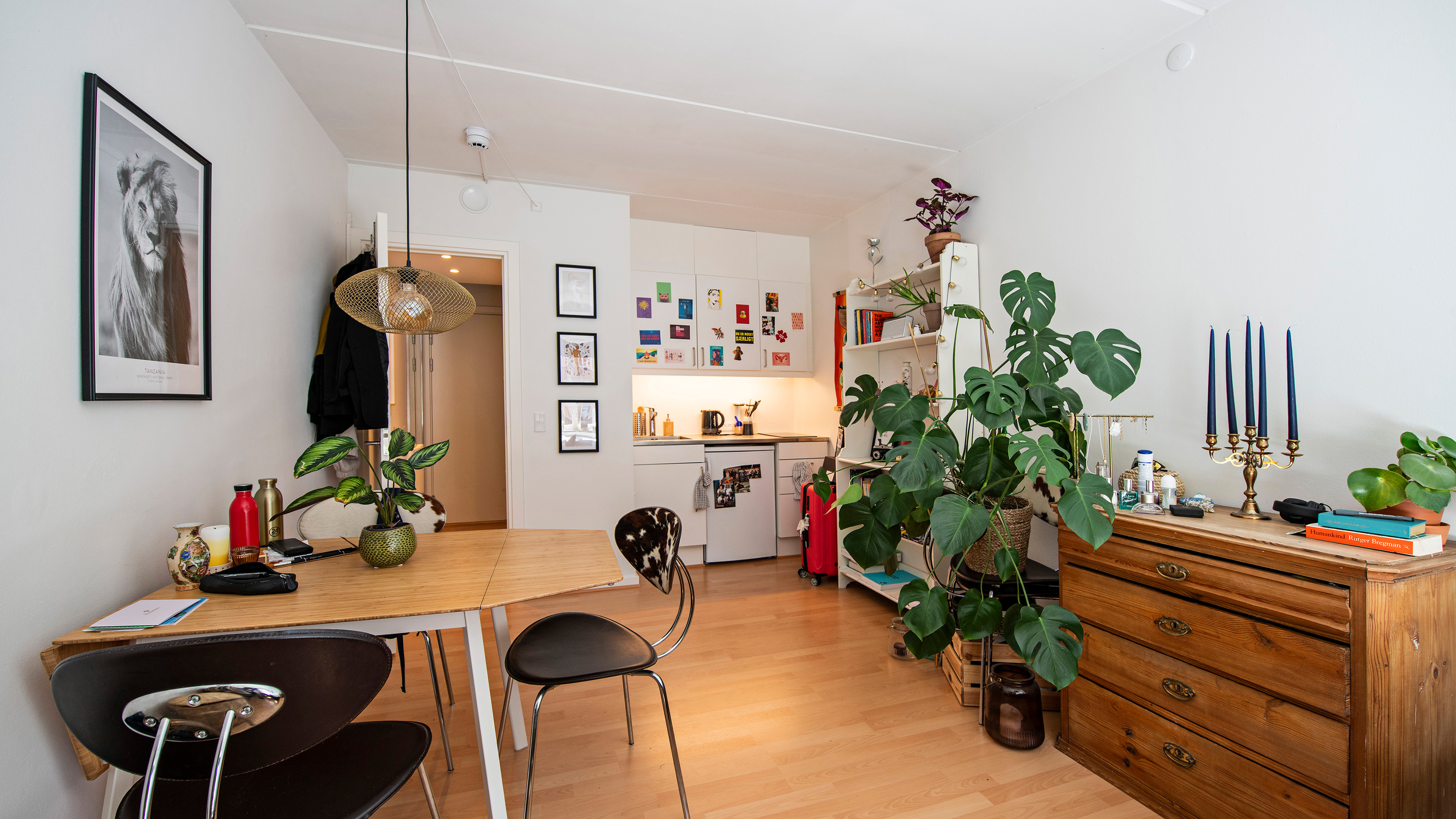 Rasmus Nielsens Kollegium