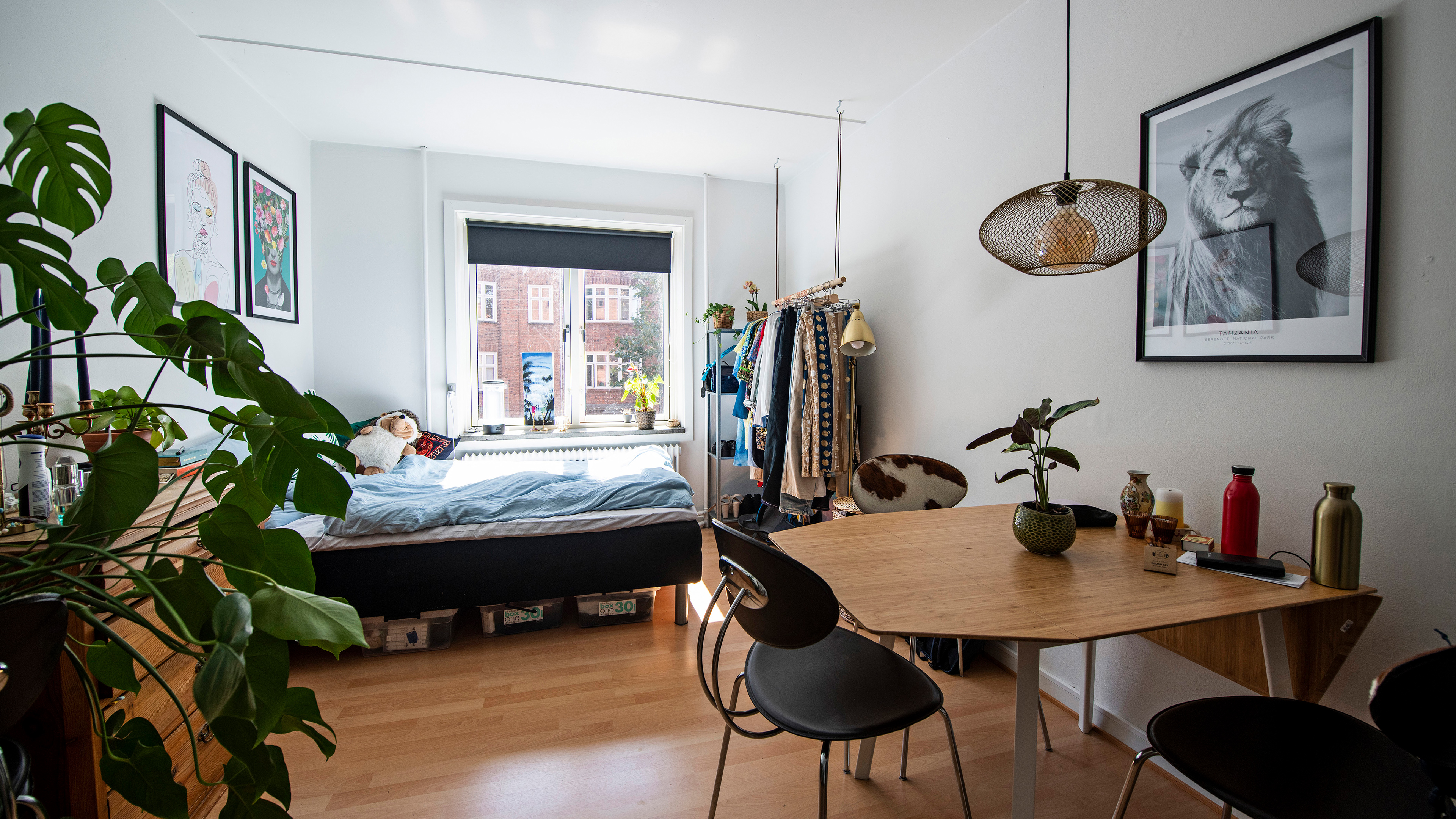 Rasmus Nielsens Kollegium