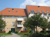 Elmehaven