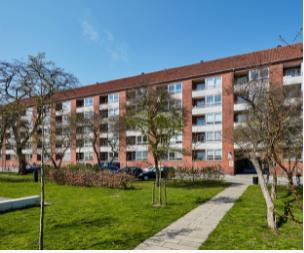 Tingvej/Islandsgården