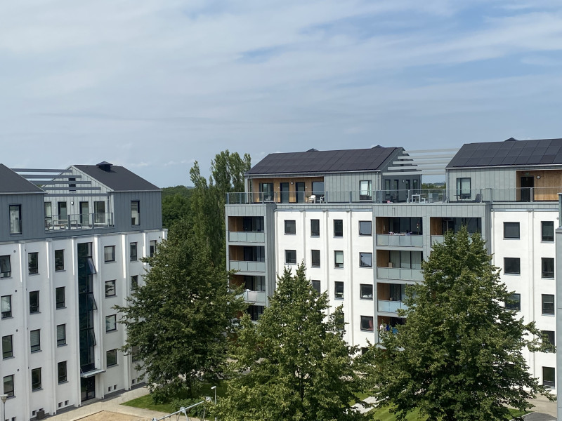 Ryde – /Fjældevænget