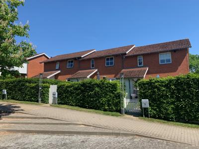 SKOVFALDET