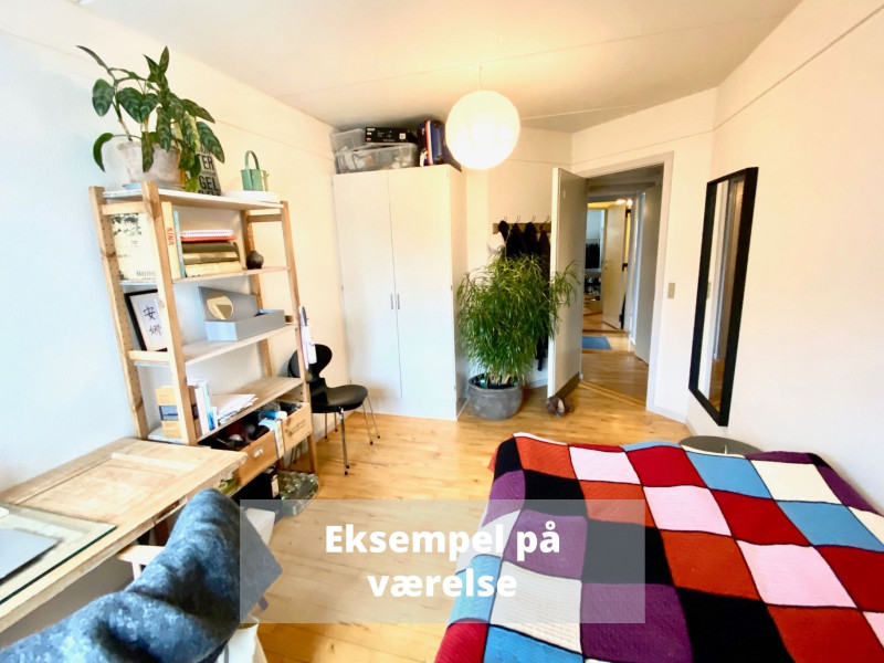 Steen Billes Torv Kollegiet