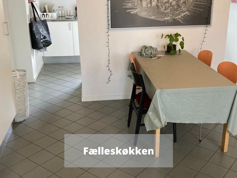 Stenaldervej Kollegiet