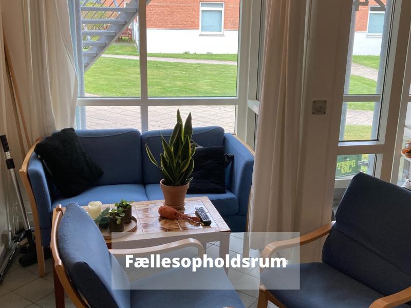 Stenaldervej Kollegiet