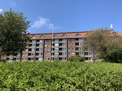 Vestre Ringgade 236