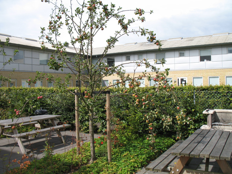 Christiansbjerg Kollegiet