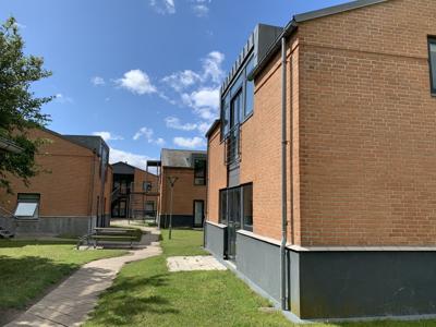 Kirsebærhaven