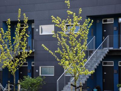 Ladegårdskollegiet
