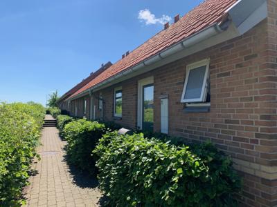 MAJSMARKEN